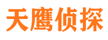 桥东侦探公司